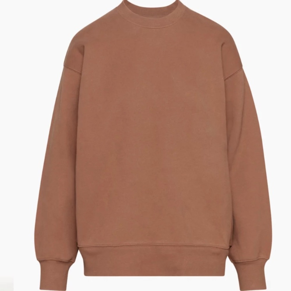 In search of: Aritzia TNA teddy bear brown sweatshirt